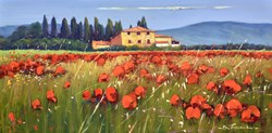 Fiori di Campo della Toscana by Bruno Tinucci - Original Painting on Stretched Canvas sized 32x16 inches. Available from Whitewall Galleries